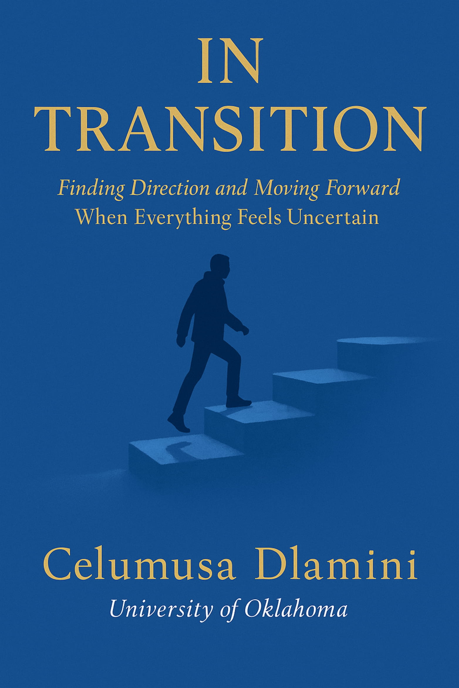 IN TRANSITION Book Cover